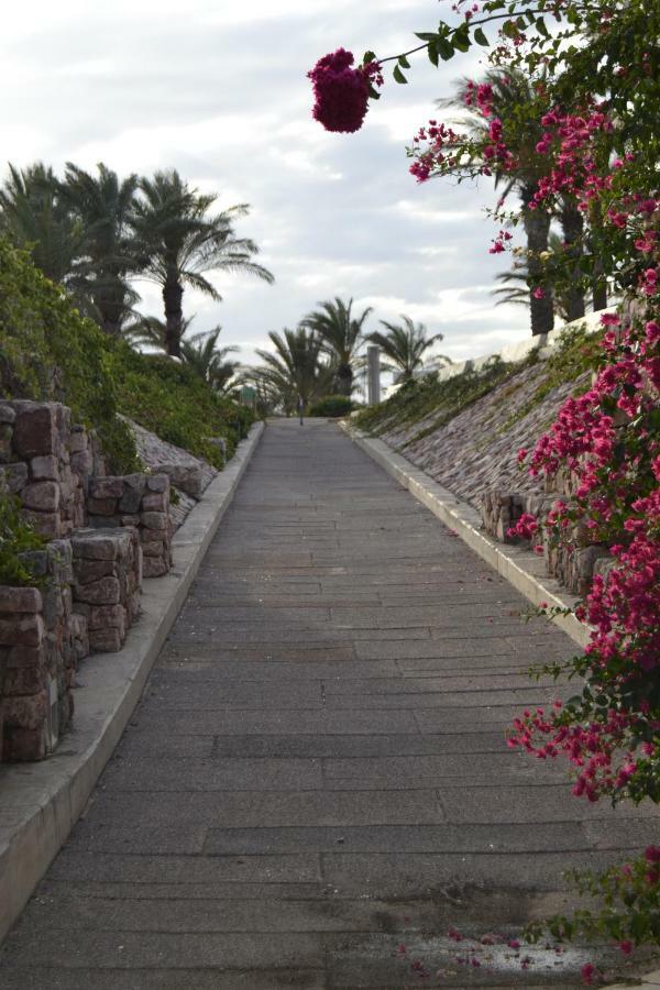 Apartamento Cabo De Gata Retamar  Buitenkant foto